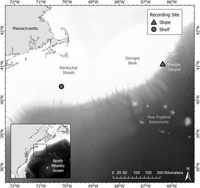 Evaluating the Efficacy of Acoustic Metrics for Understanding Baleen Whale Presence in the Western North Atlantic Ocean